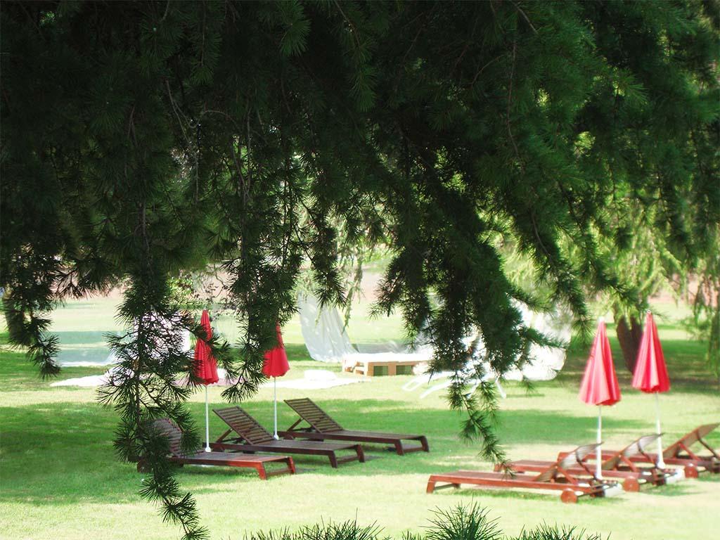 Hotel San Camilo Navarrete Buitenkant foto